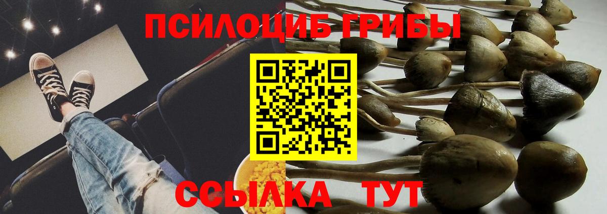 Асбест  Псилоцибиновые грибы прущие грибы  что такое наркотик  Псилоцибиновые грибы GOLDEN TEACHER  Вход с VPN 