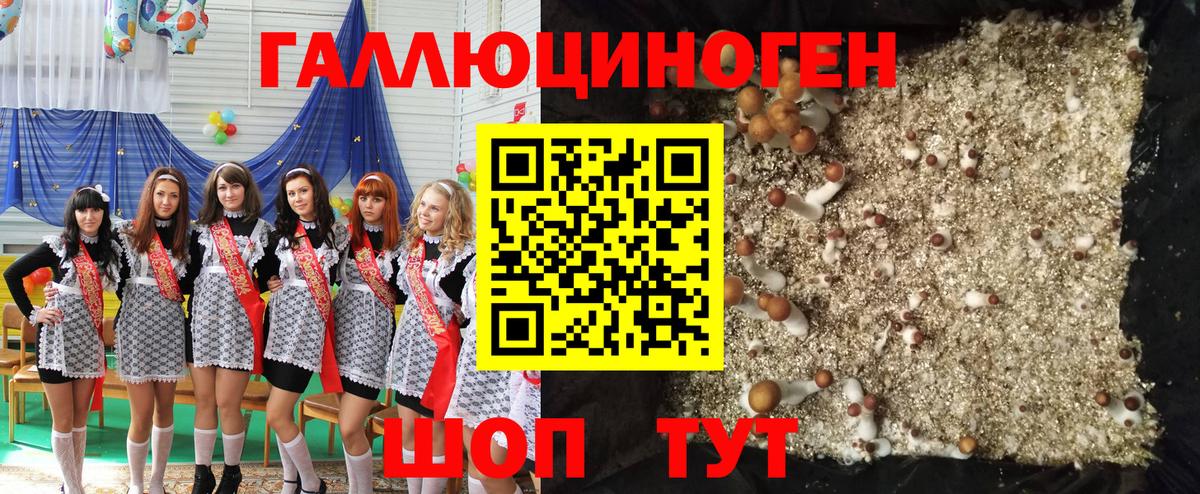 Псилоцибиновые грибы ЛСД Асбест